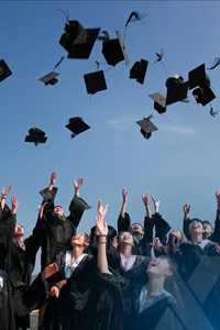 Undergraduate Programs